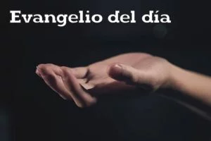 evangelio del dia